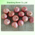 100% Natural IQF Onion From Boren